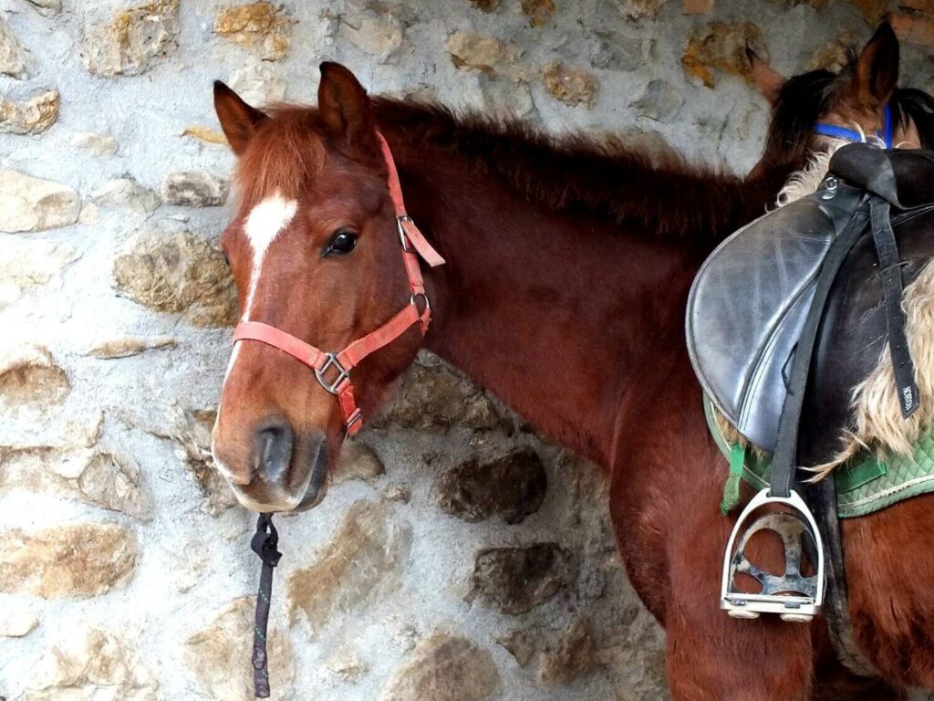 ruta a caballo