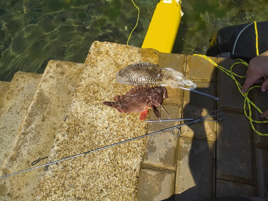 curso pesca submarina en Bilbao